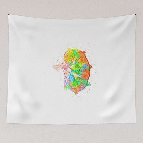 Item preview, Human Kidney Anatomy : Colorful anatomical Kidney in Watercolor and ink canva designed and sold by HA Design.