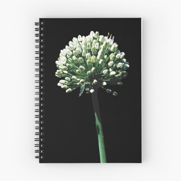 Item preview, Allium designed and sold by Sue’s Creative Nook.