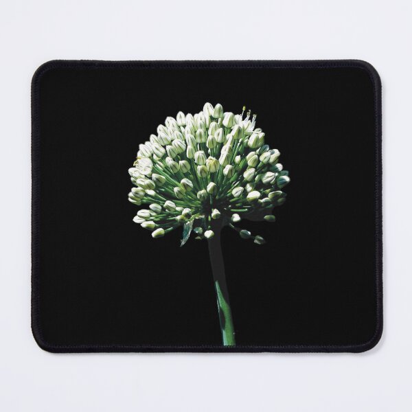Item preview, Allium designed and sold by Sue’s Creative Nook.