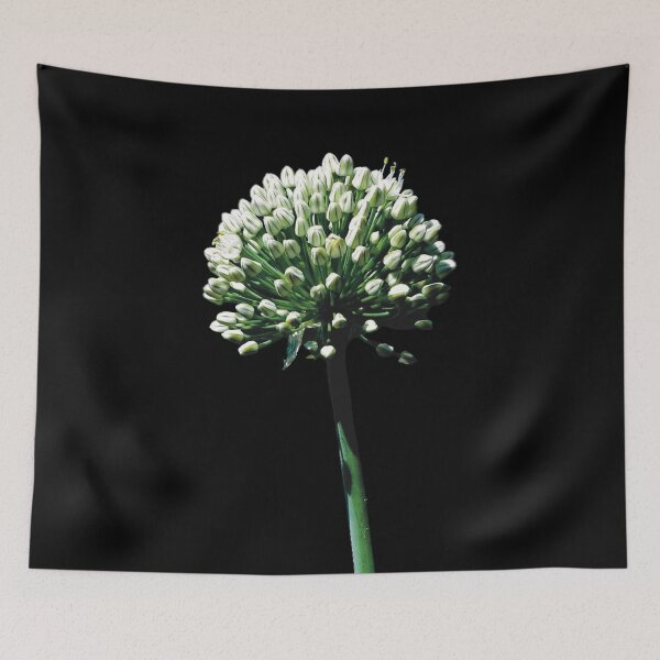 Item preview, Allium designed and sold by Sue’s Creative Nook.
