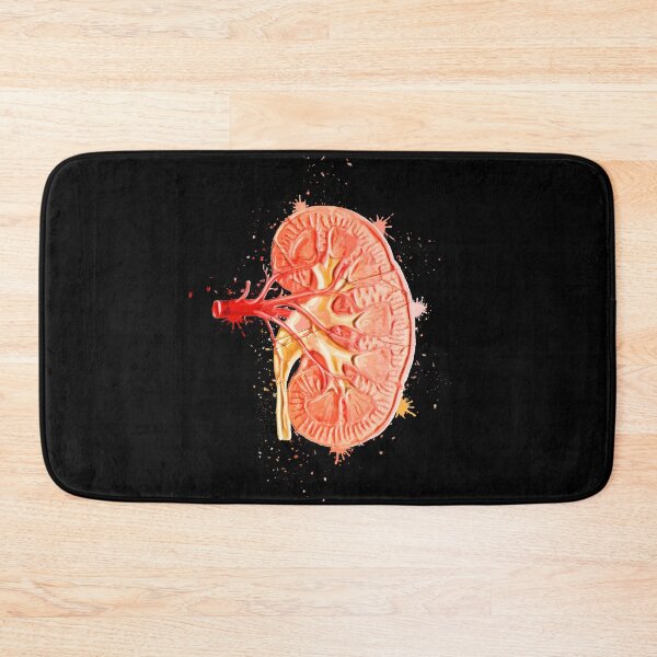 Item preview, Human Kidney Anatomy : Colorful anatomical Kidney in Watercolor and ink canva designed and sold by HA Design.