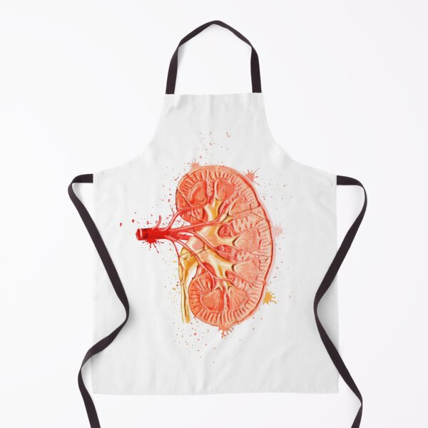 Item preview, Human Kidney Anatomy : Colorful anatomical Kidney in Watercolor and ink canva designed and sold by HA Design.