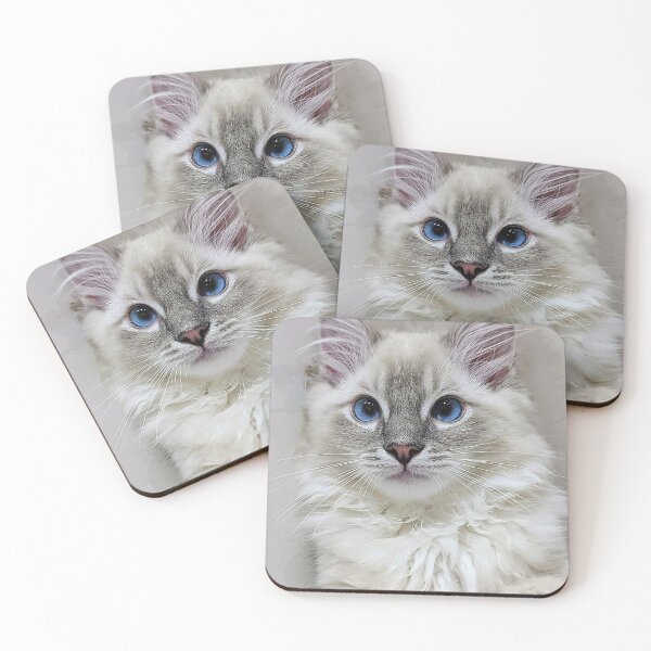 Item preview, Blue mitted lynx ragdoll kitty designed and sold by Fluffycat2020.