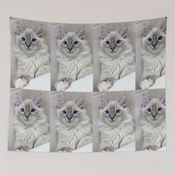 Item preview, Blue mitted lynx ragdoll kitty designed and sold by Fluffycat2020.