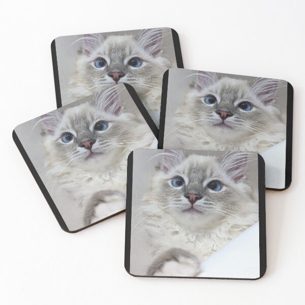Item preview, Blue mitted lynx ragdoll kitty designed and sold by Fluffycat2020.