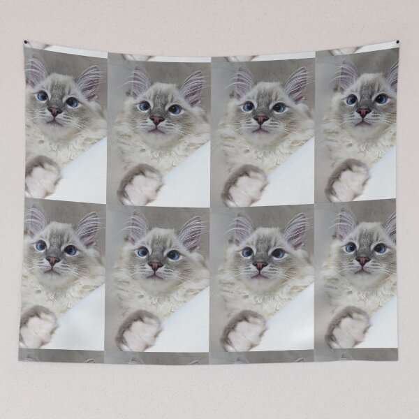 Item preview, Blue mitted lynx ragdoll kitty designed and sold by Fluffycat2020.