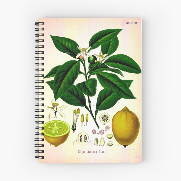 Item preview, Lemon Tree designed and sold by Tjb62.