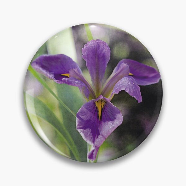 Artikelvorschau, Louisiana-Purpur-Iris entworfen und verkauft von KbytesOfJax Outdoor and Nature.
