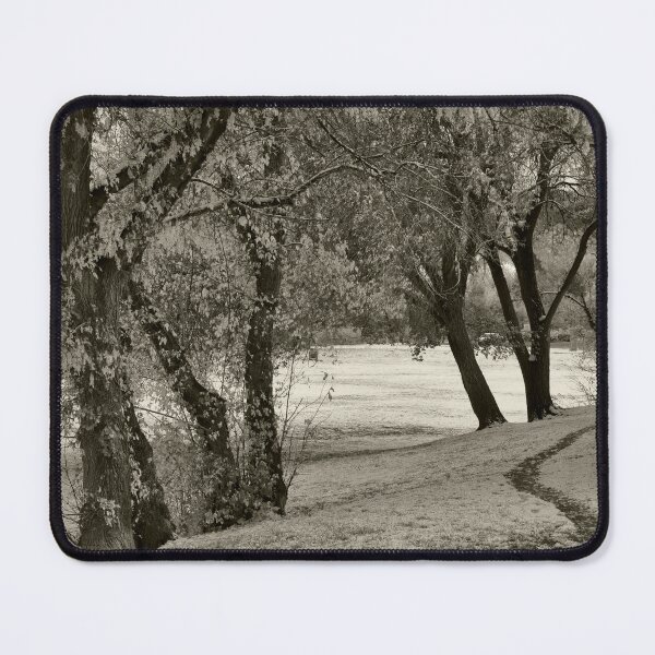 Item preview, Canyon Road Snow designed and sold by klindsey.