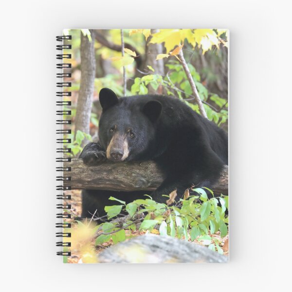 Item preview, Bearly Awake designed and sold by mlorenz.