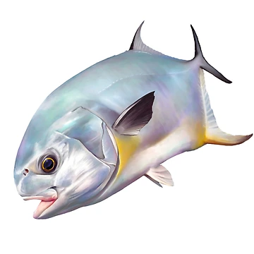 Artwork thumbnail, Diving Permit by Color4Nature