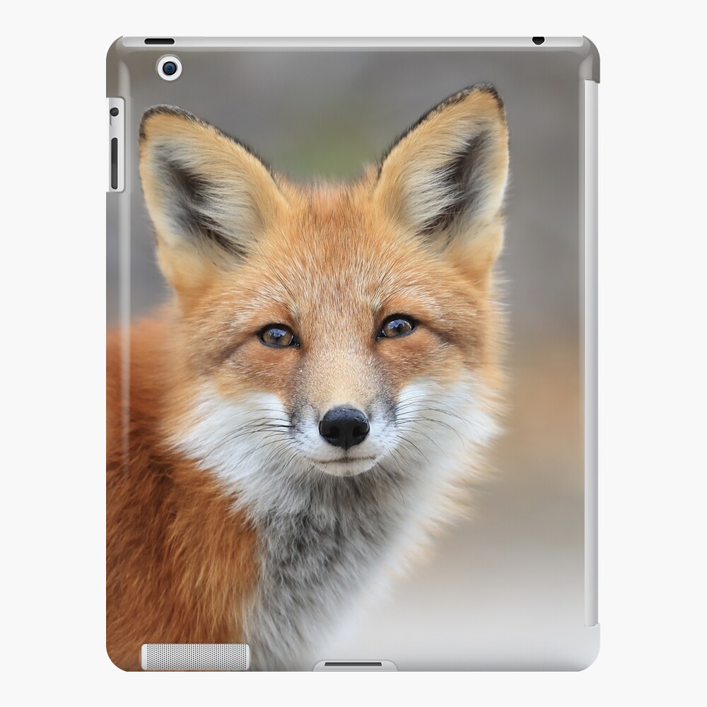 Man Face iPad Case & Skin for Sale by prrrki