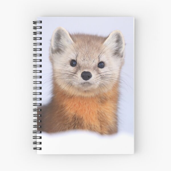 Item preview, Mr. Marten designed and sold by mlorenz.