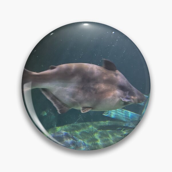 Item preview, Underwater at Tennessee Aquarium  designed and sold by Silver Sky by Janet.