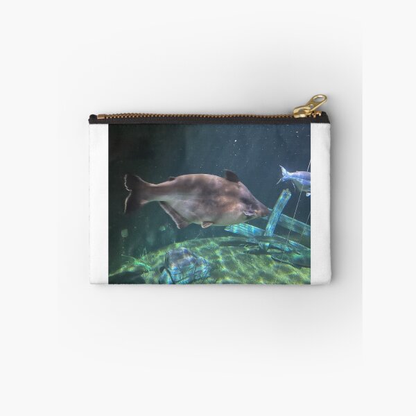 Item preview, Underwater at Tennessee Aquarium  designed and sold by Silver Sky by Janet.