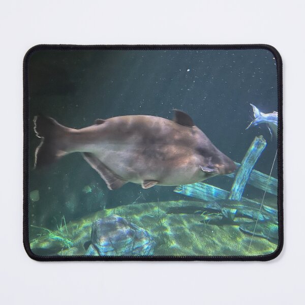 Item preview, Underwater at Tennessee Aquarium designed and sold by Silver Sky by Janet.