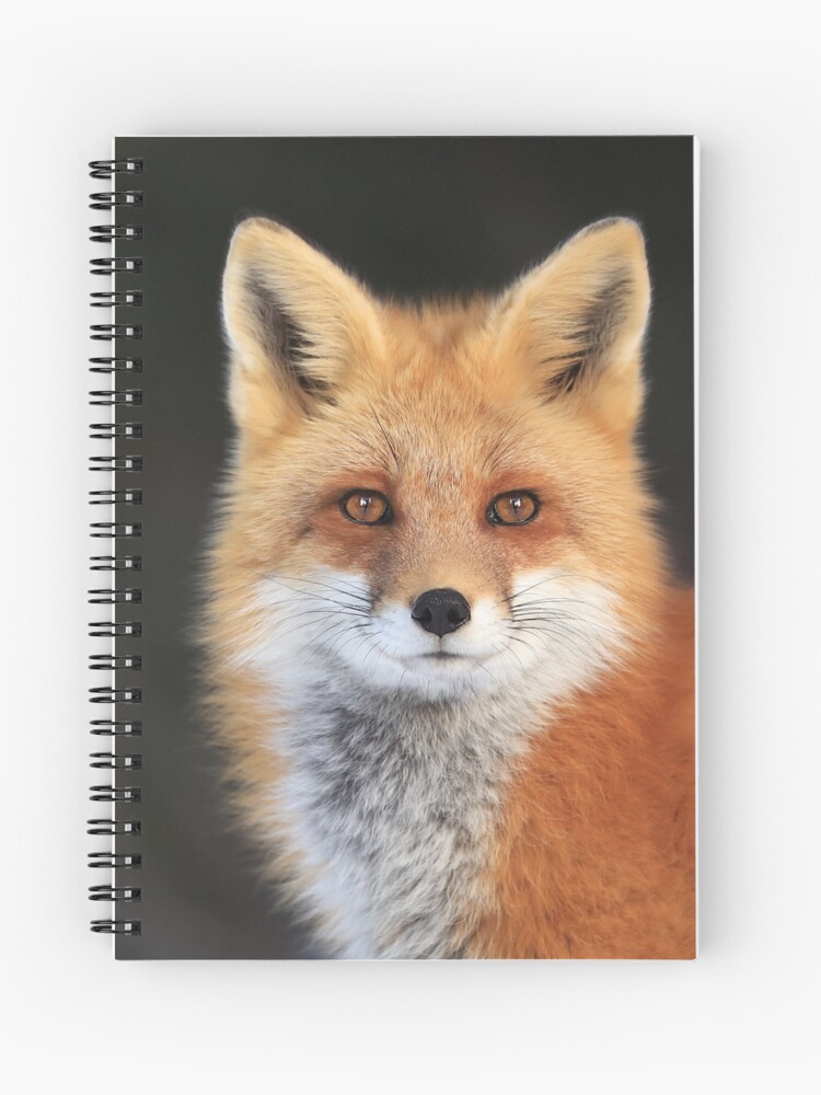 Red Fox Face Spiral Notebook By Mlorenz Redbubble