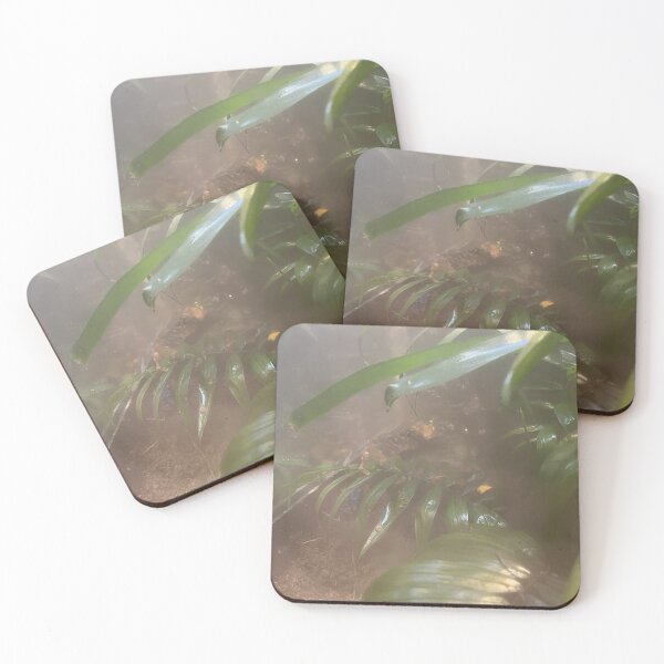 Item preview, Poisonous Frogs of the Tennessee Aquarium  designed and sold by Silver Sky by Janet.