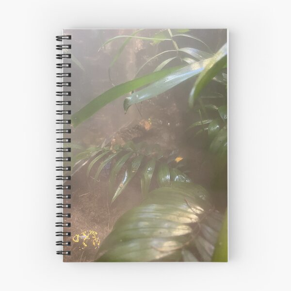 Item preview, Poisonous Frogs of the Tennessee Aquarium  designed and sold by Silver Sky by Janet.