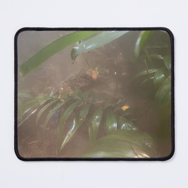 Item preview, Poisonous Frogs of the Tennessee Aquarium designed and sold by Silver Sky by Janet.