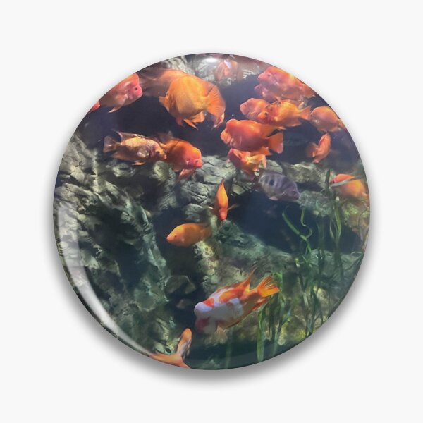 Item preview, Orange Freshwater Fish at the Tennessee Aquarium  designed and sold by Silver Sky by Janet.