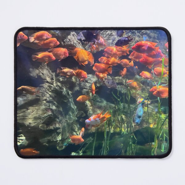 Item preview, Orange Freshwater Fish at the Tennessee Aquarium  designed and sold by Silver Sky by Janet.