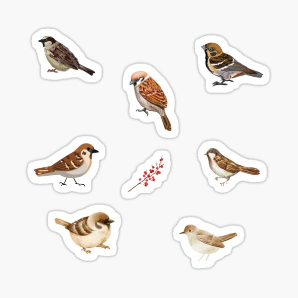 Artikel-Vorschau von Sperlingsvögel, designt und verkauft von silviaol.
