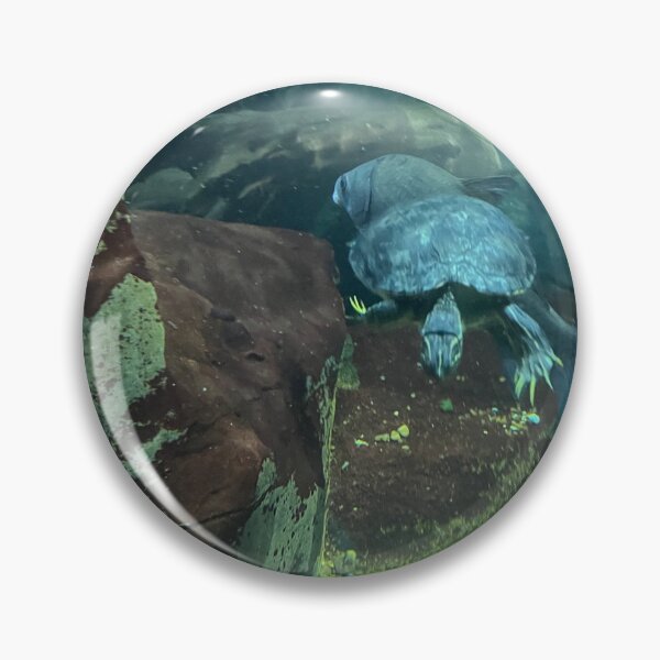 Item preview, Swimming Turtle Underwater at Tennessee Aquarium in Chattanooga  designed and sold by Silver Sky by Janet.