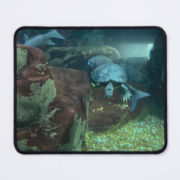 Item preview, Swimming Turtle Underwater at Tennessee Aquarium in Chattanooga  designed and sold by Silver Sky by Janet.