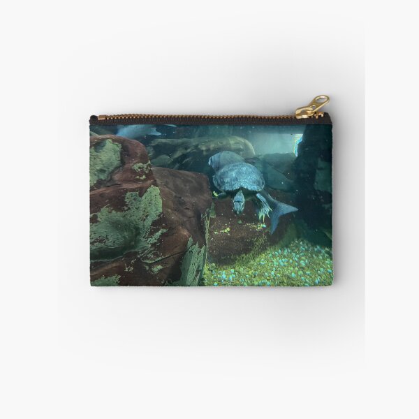 Item preview, Swimming Turtle Underwater at Tennessee Aquarium in Chattanooga  designed and sold by Silver Sky by Janet.