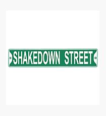 grateful dead shakedown street Photographic Print