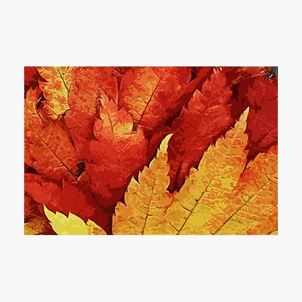 Item preview, Falling Leaves designed and sold by AM FineArtPrints.