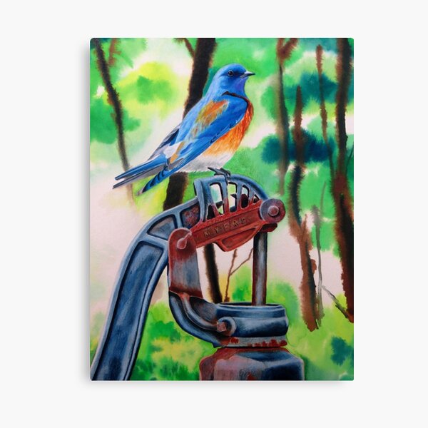 Eastern Bluebird On Rusty Pump Canvas Print