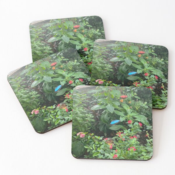 Item preview, The Butterfly Garden of Tennessee Aquarium  designed and sold by Silver Sky by Janet.