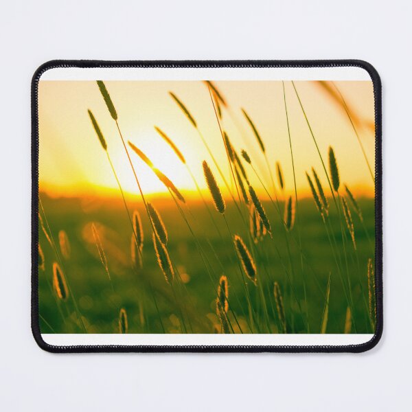 Item preview, Trigo designed and sold by Meditanacor.