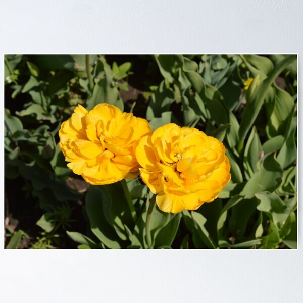 Item preview, Beautiful nature. Flowers. designed and sold by fantasygerle.
