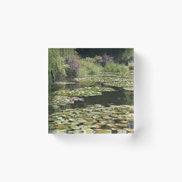Aperçu de l'œuvre Le jardin aquatique, Giverny, France créée et vendue par Elena Skvortsova.