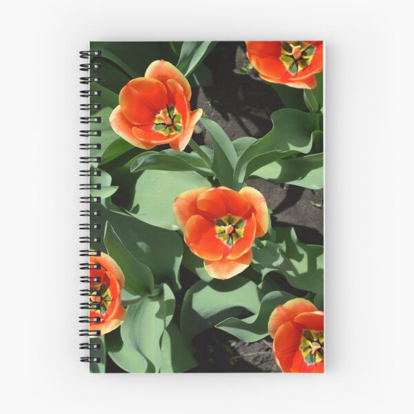 Artikelvorschau, Schöne Natur. Blumen. entworfen und verkauft von fantasygerle.