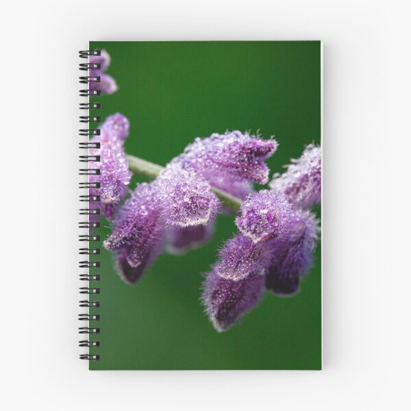 Item preview, Purple Flower designed and sold by Nature-Inspired.