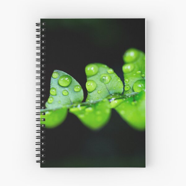 Item preview, Fern designed and sold by Nature-Inspired.