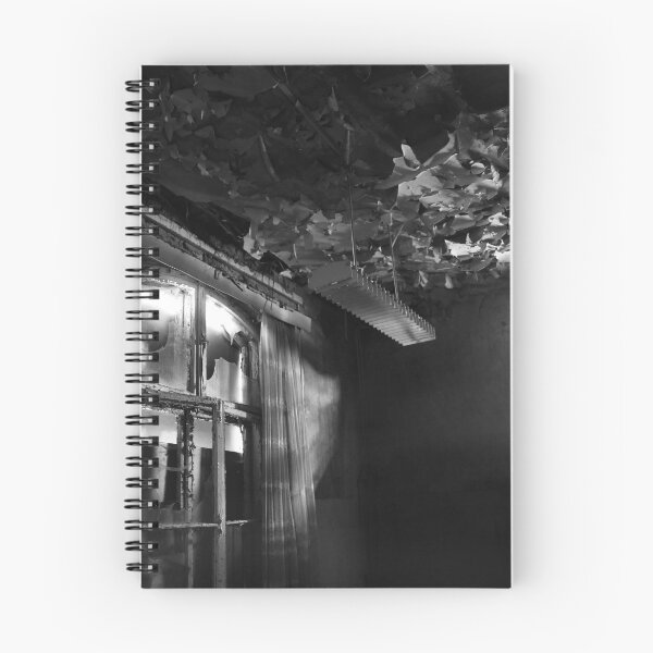 Item preview, Lost Places, Dark Room designed and sold by hottehue.
