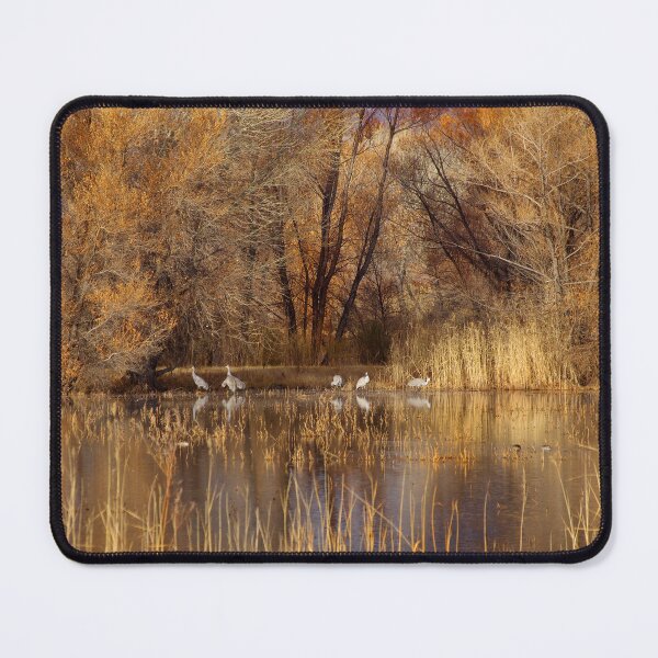Item preview, Autumn Relections designed and sold by Vicki Pelham.