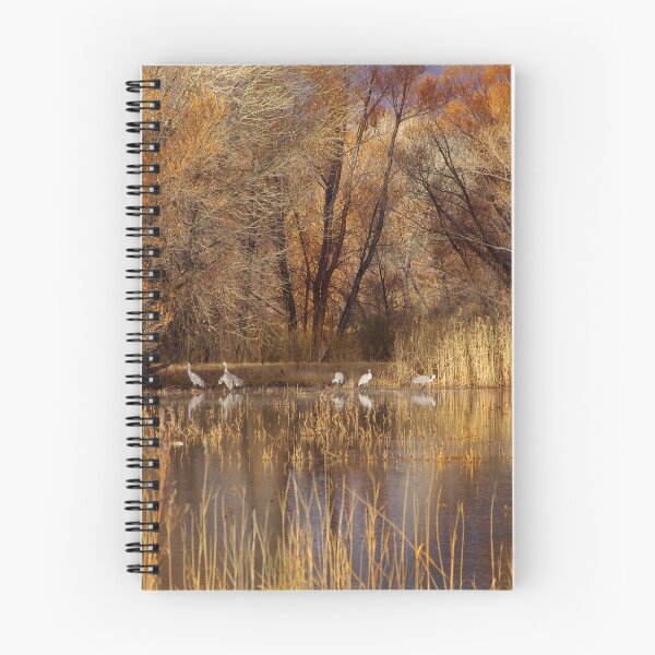 Item preview, Autumn Relections designed and sold by Vicki Pelham.