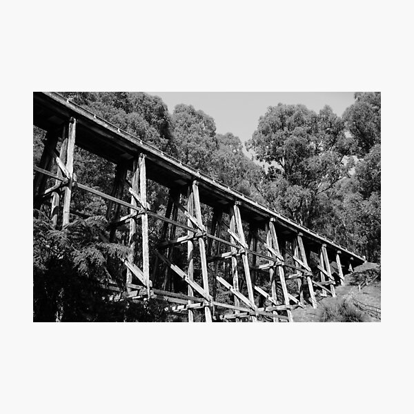 Item preview, Noojee Trestle Bridge designed and sold by ilovethenight.
