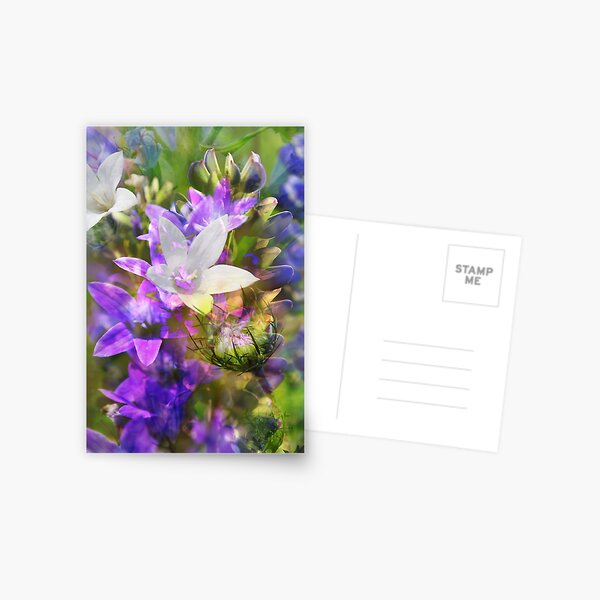 field flowers collage Postcard