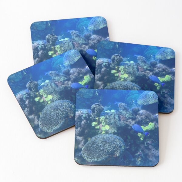 Item preview, Under the Water at the Tennessee Aquarium  designed and sold by Silver Sky by Janet.