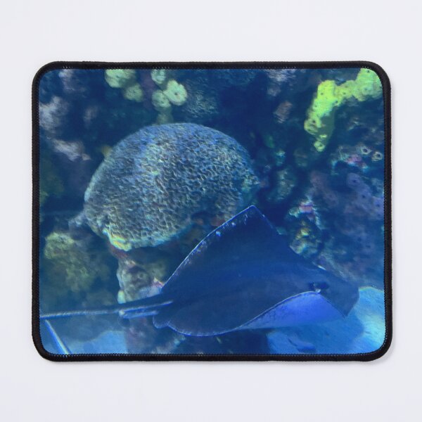 Item preview, Stingray of the Tennessee Aquarium  designed and sold by Silver Sky by Janet.