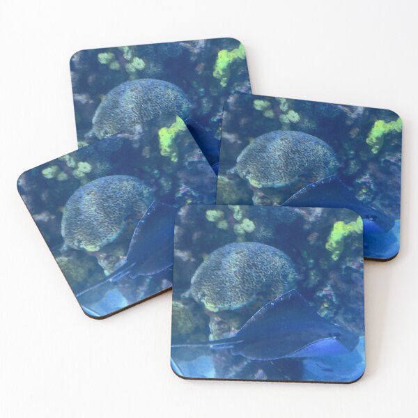 Item preview, Stingray of the Tennessee Aquarium  designed and sold by Silver Sky by Janet.