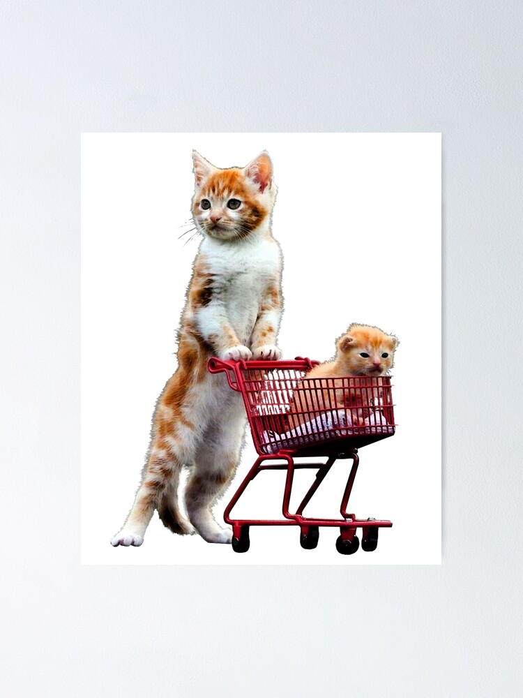 Shopping Cat I love my Cats Baby Cat