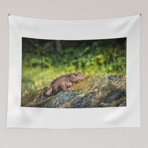 Item preview, Amphibian, Common British Toad / Frog designed and sold by JJVXPHOTOGRAPHY.
